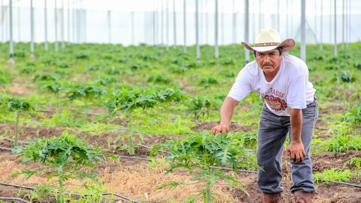 AGRICULTURA AHORRO DE ENERGÍA EN RIEGO-5